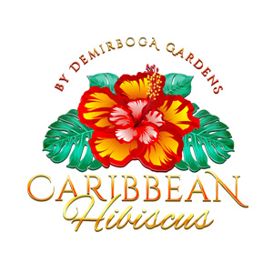 Caribbean hibiscus